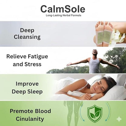 Detox Foot Patch(BUY 1 GET 1)